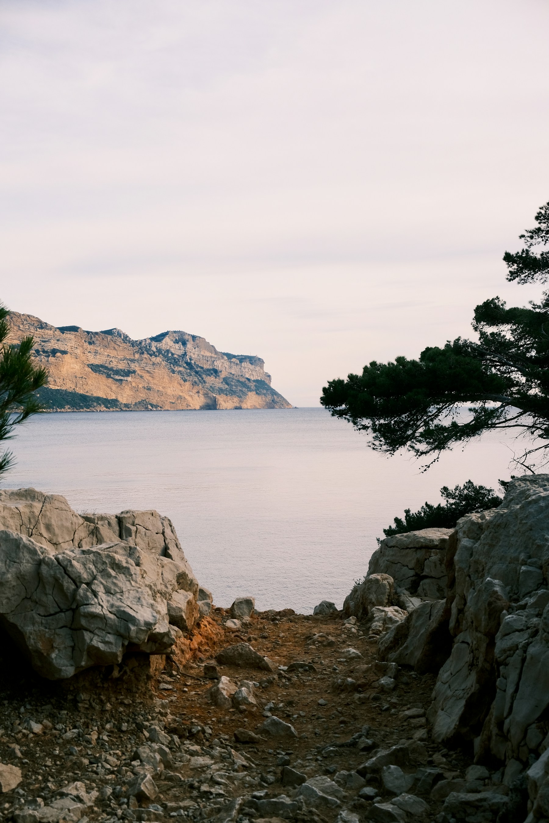 A rocky path descending between pines toward the sea at Cassis