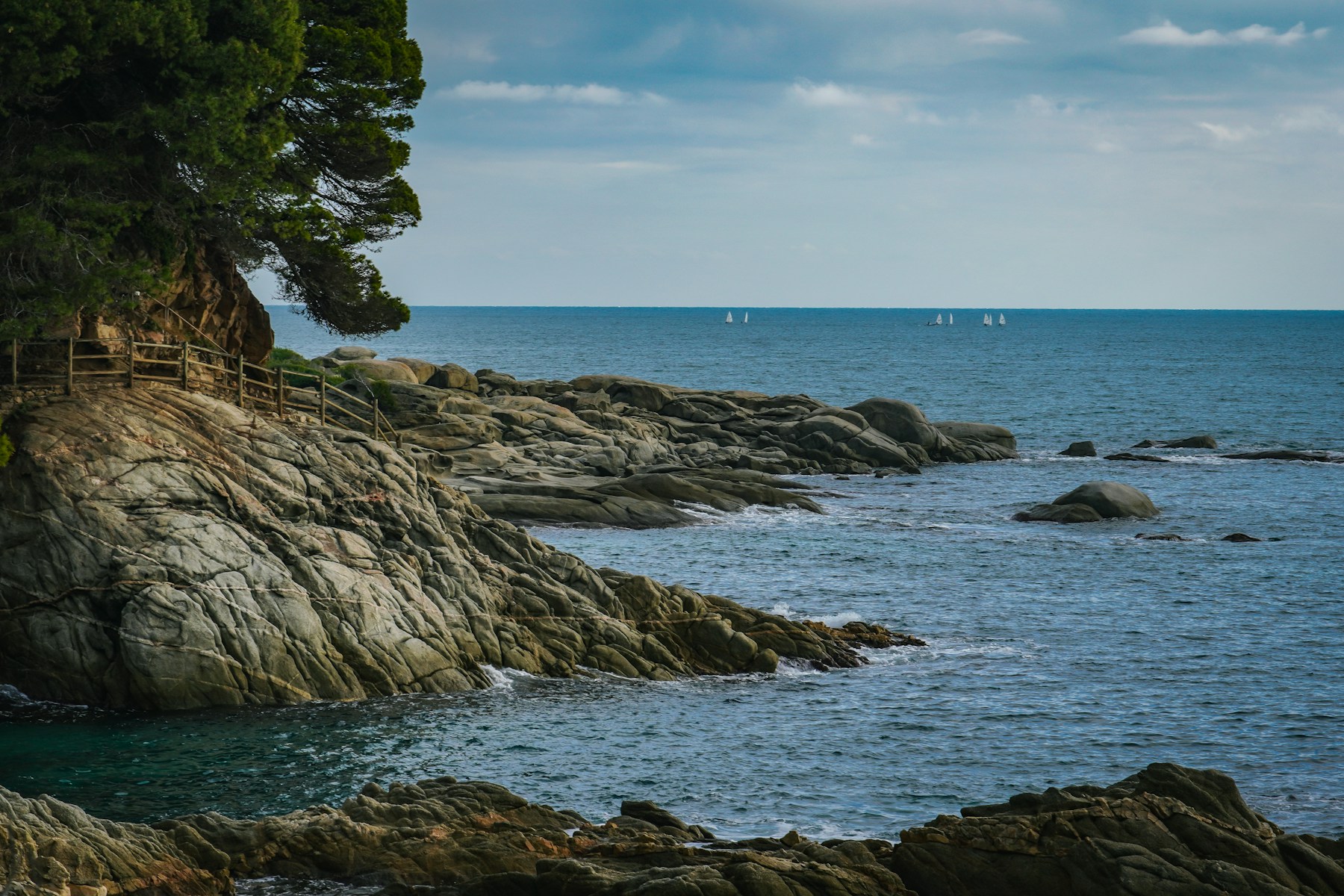 Pine trees and dark rocks meeting a clear blue island sea